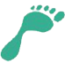 Footpro